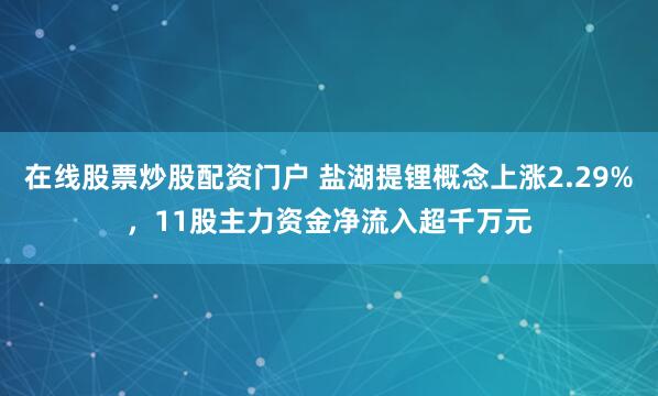 在线股票炒股配资门户 盐湖提锂概念上涨2.29%,11股主力资金净流入超千万元
